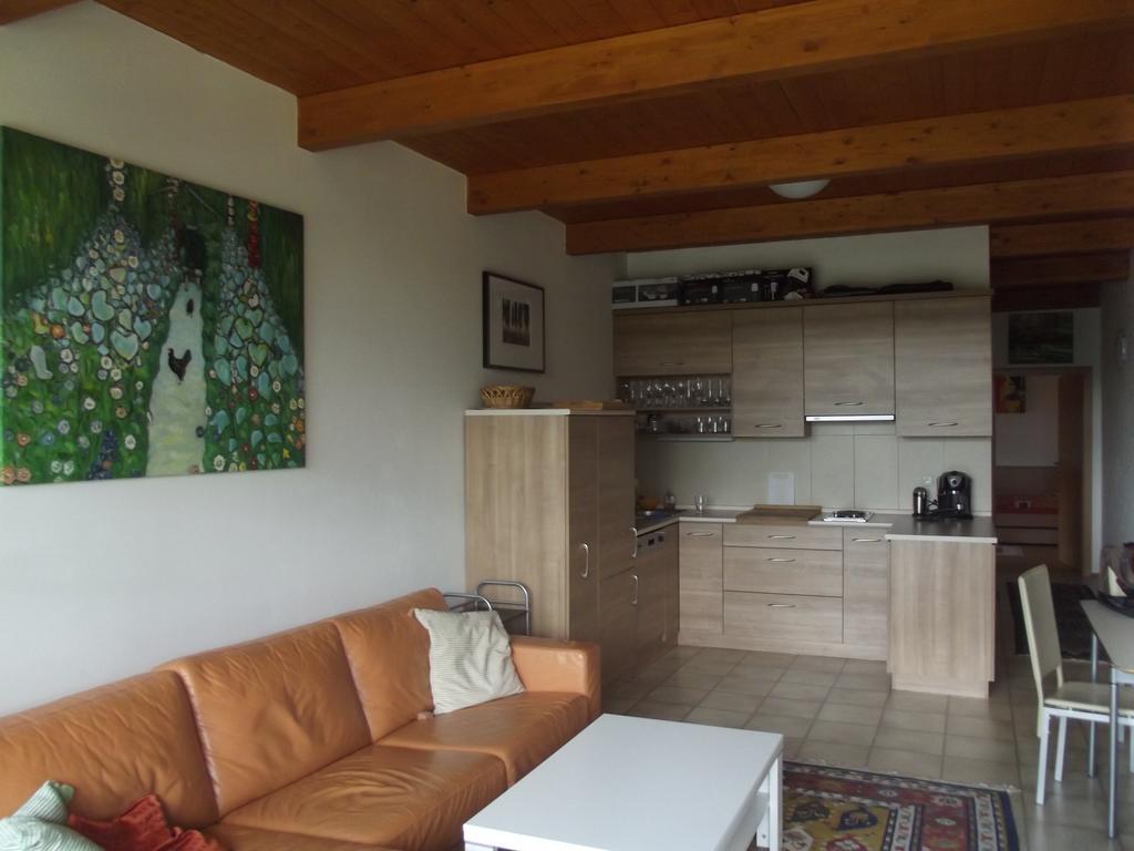 Apartman Lipno A12 ليبنو ناد فلتافو المظهر الخارجي الصورة